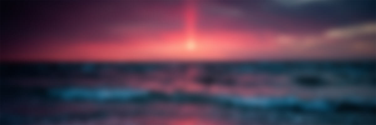 Ikun SEM - 专注外贸独立站运营与谷歌推广 | Google SEO & Ads 专家-陈晓鱼